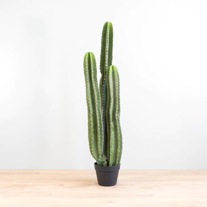 Cactus Tree 40 inches - KD0066 artificial plant with lifelike details and 40-inch height.