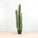 Cactus Tree 40 inches - KD0066 artificial plant with lifelike details and 40-inch height.