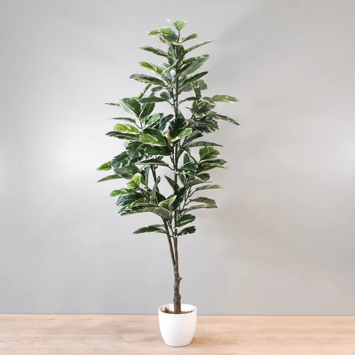 Ficus Lyrata Tree - NAL20-8024-1, a lush and elegant indoor plant with large, fiddle-shaped leaves.