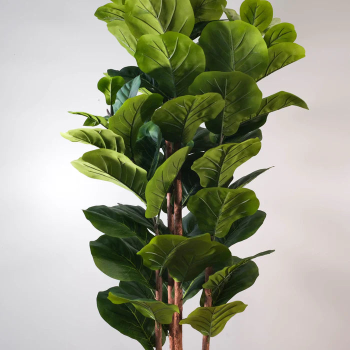 Fiddle Leaf Fig Tree with 4 Stems - Product Code NAL21-3217-1.