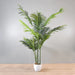 Areca Palm Tree in a Pot - NAL22-3648-1