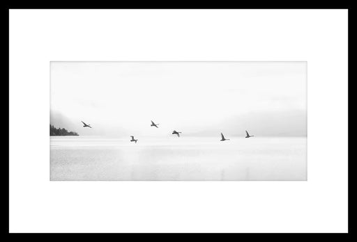 Photography of birds over a lake captured in a 30x20 inch glass display by SIMON-BERGER2.